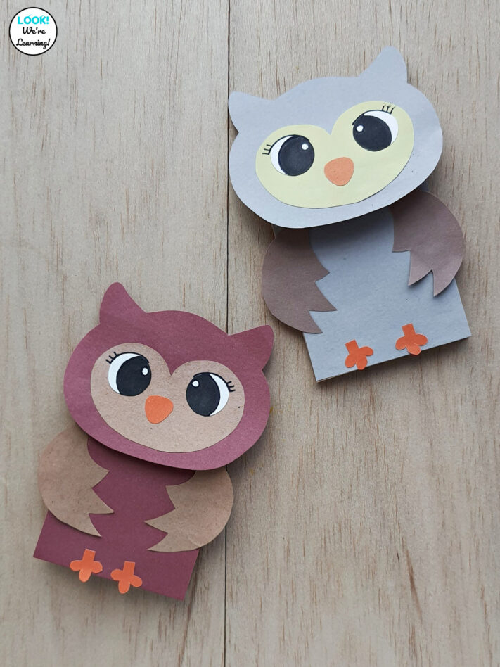 Take & Make Craft Kits for Kids: Paper Bag Owls - Limited Supply / Contact the Library to schedule a pick up