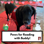 Paws for Reading with Buddy (Registration)