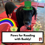 Paws for Reading with Buddy (Registration)