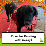 Paws for Reading with Buddy (Registration)
