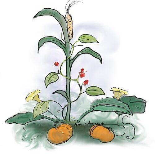Take & Make Craft Kits for Kids: Three Sisters Crops Craft - Limited Supply / First-come First-served