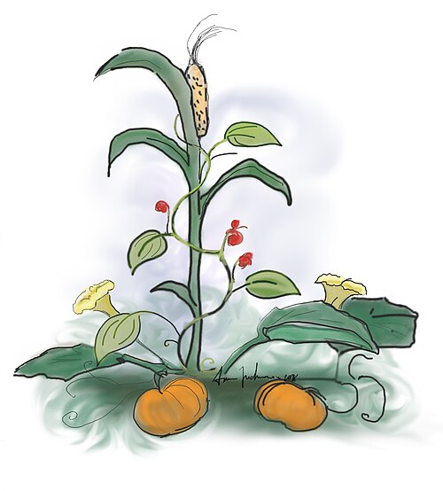 Take & Make Craft Kits for Kids: Three Sisters Crops Craft - Limited Supply / First-come First-served