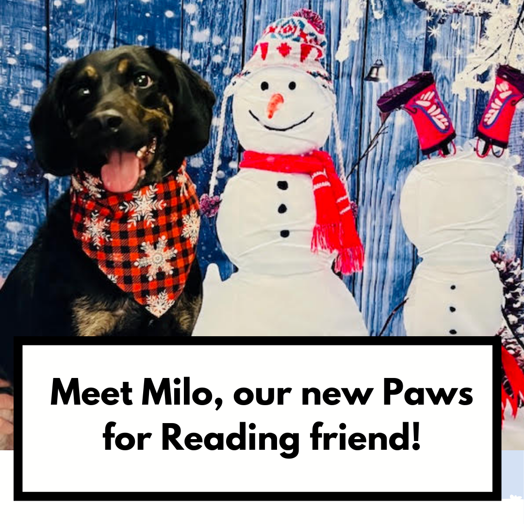 Paws for Reading - Meet Milo!