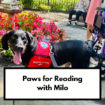 Paws for Reading with Milo! 