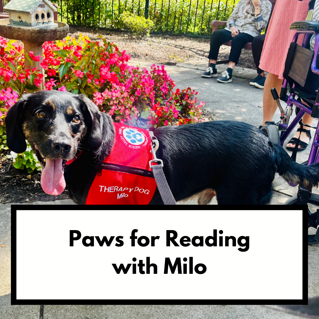 Paws for Reading with Milo! 